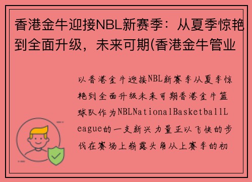 香港金牛迎接NBL新赛季：从夏季惊艳到全面升级，未来可期(香港金牛管业)